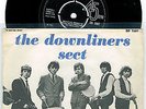THE DOWNLINERS SECT 7'' - I got mine, rare Sweden PS -65