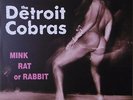 RARE - LP THE DETROIT COBRAS 