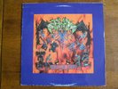 DVC ?– Molecular Shadow  - LP - 1992