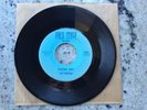 Rare Garage 45 THE PIRATES 