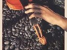 Shankar Touch Me There NEAR MINT Zappa Records Vinyl LP