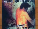 Bruce Springsteen - Ghost of Tom Joad LP Unofficial Blue Vinyl NM