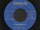 Rare Indiana Garage Punk 45   Ferris Wheel   Come Back Baby   Listen
