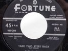 EARL CHATMAN Take Two Steps Back / Loving You Baby FORTUNE 844 Detroit BLUES 45