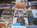 THE BEACH BOYS BRIAN WILSON PET SOUNDS TODAY SMILE BOX 180Gram 36 LIMITED LP Set