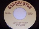 G.G. Shinn 45, We're Hot Tonight rare disco funk boogie ORIGINAL  Lady Texans
