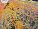 The Avalanches - Since I Left You (Vinyl)