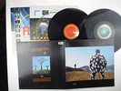 Pink Floyd,Delicate Sounds Of Thunder,Original double pressing from 1988,LP