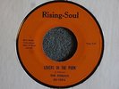 GROUP NORTHERN SOUL 45 The Fidelics Lovers In The Park Rising Soul 109 HEAR MP3