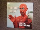 TRIPPING DAISY 
