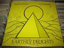 RARE David Wertman LP Sun Ensemble Earthly Delights PSYCH ACID FREE Jazz PRIVATE