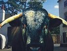 Swervedriver-Mezcal Head (1LP)  VINYL NEW