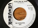 45rpm Doo Wop RARE - PLEASE RING MY PHONE/JUNGLE LOVE - STARLETTES - CHECKER 895