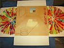 ROBERT PLANT BIG LOG   RARE Colored 2LP TEST PRESS,led zeppelin,I,II,III,IV,holy