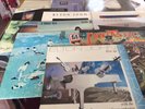 12 X Elton John LP's All EX Condition Inc Captain Fantastic & Live In Australia