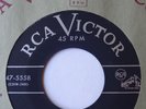 1953 R&B Blues 45 DANNY RUN JOE TAYLOR You Look Good / Gator Tail  LISTEN