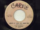 Soul 45 Collector-VONTASTICS-WE CAN WORK IT OUT/LOVE GROW COLD-ST LAWRENCE-HEAR