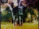 Animal Collective - Meeting Of The Waters 12