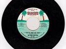 The Voice Masters  45 YOUVE HURT ME MY BABY / IF WOMAN CATCHES A FOOL VG++ toNM-