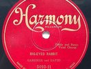 Eva Davis & Bumgarner Harmony 5093 78 RPM Record Big Eyed Rabbit, Country E+