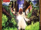 scissor sisters vinyl