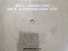 The Killers - Human 7