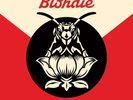 BLONDIE - POLLINATOR - NEW VINYL LP (INDIE EXCLUSIVE)