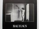 Bauhaus In the flat field vinyl