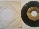 Rare 45 Garage Record The Sultans Five Enterprise Thirteen VG+ RACINE WI