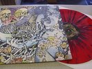 Pig Destroyer - Phantom Limb - LP COLOURED Vinyl