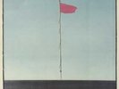 Wire - Pink Flag    RARE  PUNK   POST-PUNK