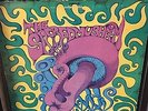 ORIG 1969 THE SACRED MUSHROOM LP PARALLAX Fuzzed Blues Garage PSYCH VG+