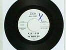 PASTEL SIX Miss Sue / Baby Please Don't Go 45 Vinyl Zen Garage NM HEAR Z-199