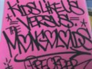 Kids Like Us Mongoloids Split Pink Cover Preorder/150 Have Heart Bane Sxe