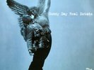 Sunny Day Real Estate The Rising Tide RSD clear vinyl 2 LP g/f NEW/SEALED