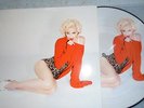 MADONNA RARE LTD ED  LP PICTURE DISC PDK LP SEXY COVER  NUDE  REBEL HEART
