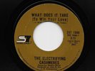 Electrifying Cashmeres - What Does It Take / Ooh I Love You (Soul, 45)