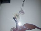 Future Islands The Far Field ltd. white Vinyl Neu OVP 191400000100