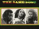 Same Song - ISRAEL VIBRATION [LP]