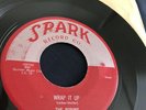 THE ROBINS Wrap It Up / Riot In Cell Block #9   RARE Doo Wop 45 on SPARK 103