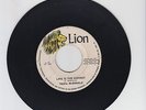 LION/ LIFE IS THE HIGHEST  -  TESFA MCDONALD  (72  REGGAE ROCKSTEADY ROOTS 7