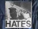 The Hates - No Talk In The Eighties - Original 7