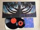 Rare Bird -  Epic forest LP + 7
