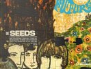 ROCK PSYCH  THE SEEDS  