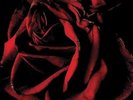 Rosanne Cash - Black Cadillac [New Vinyl LP] Reissue