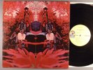 Blue Mountain Eagle  Self-Titled   Psych