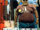 Fatboy Slim-You`Ve Come A Long Way Baby  VINYL NEUF