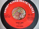 L.A. Flower Punk Garage Psych 45 The Seeds Daisy Mae / Can't Seem to NM HEAR