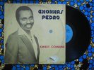 ? GNONNAS PEDRO DEEP AFRO BEAT FUNK SYNTH LATIN POLY RYTHMO VOODOO SPELL Benin