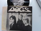 the DOGS 7